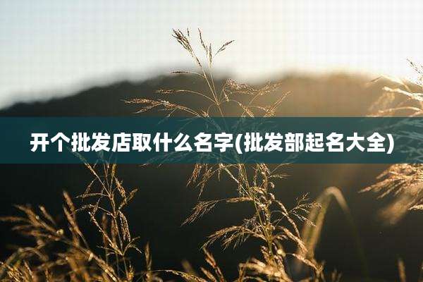 开个批发店取什么名字(批发部起名大全)