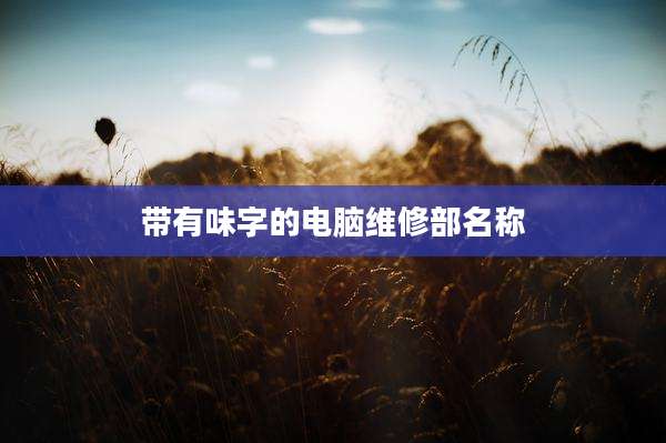 带有味字的电脑维修部名称