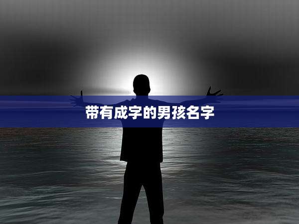 带有成字的男孩名字