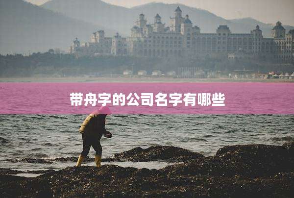 带舟字的公司名字有哪些