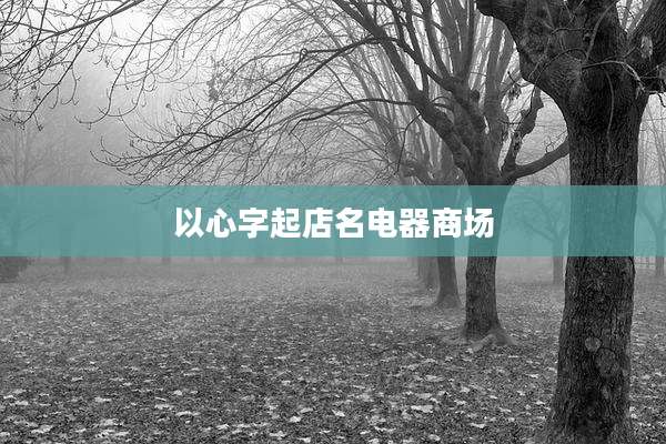 以心字起店名电器商场