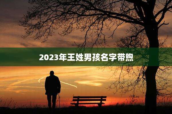 2023年王姓男孩名字带煦