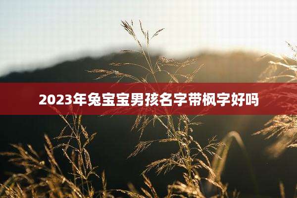 2023年兔宝宝男孩名字带枫字好吗