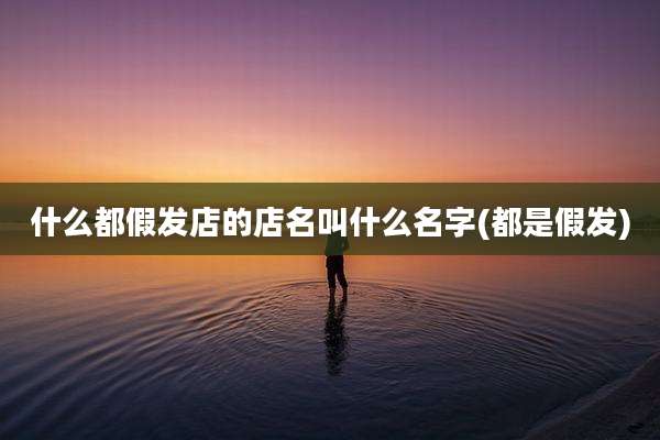 什么都假发店的店名叫什么名字(都是假发)