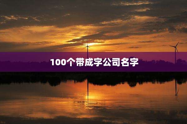 100个带成字公司名字