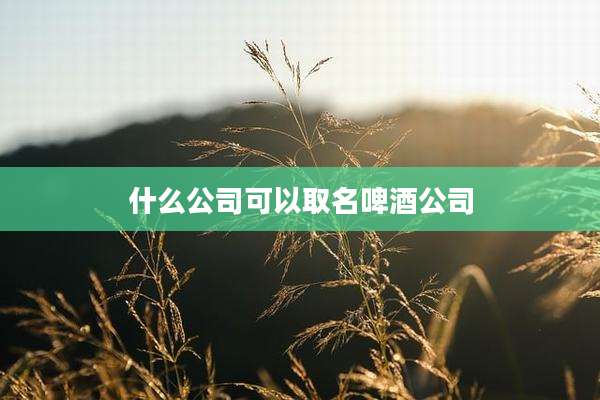 什么公司可以取名啤酒公司