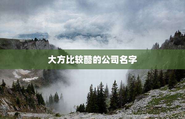 大方比较酷的公司名字