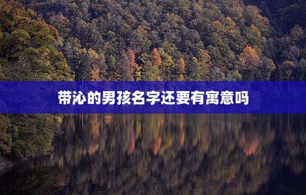 带沁的男孩名字还要有寓意吗