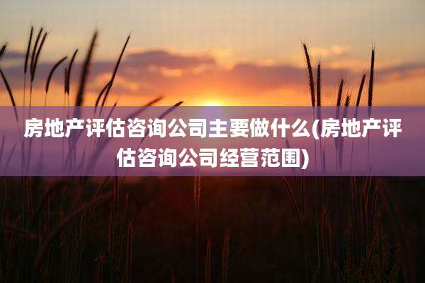 房地产评估咨询公司主要做什么(房地产评估咨询公司经营范围)
