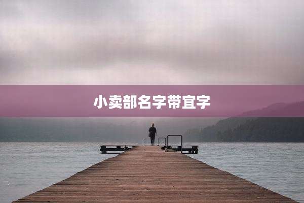 小卖部名字带宜字