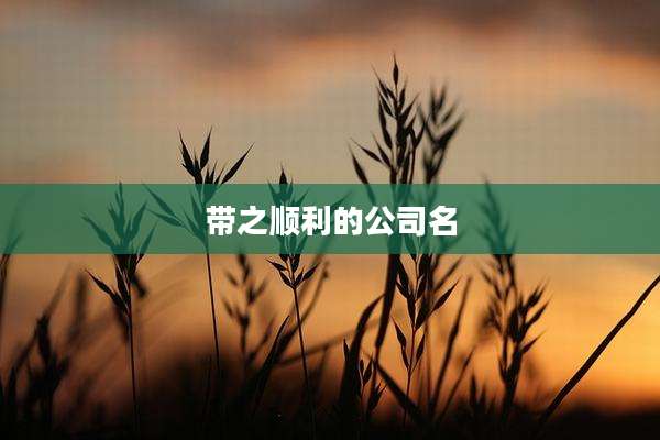 带之顺利的公司名