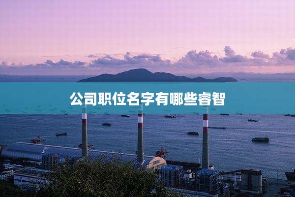 公司职位名字有哪些睿智