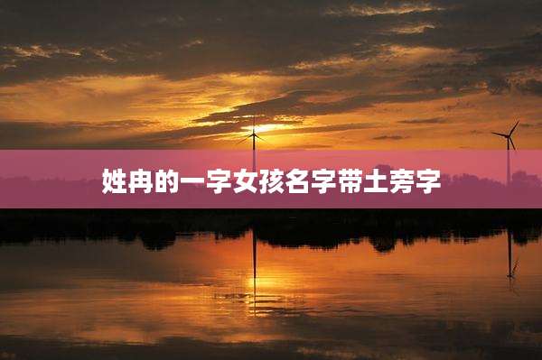 姓冉的一字女孩名字带土旁字
