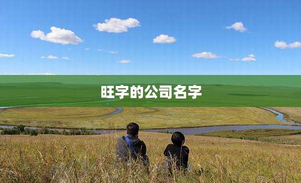 旺字的公司名字
