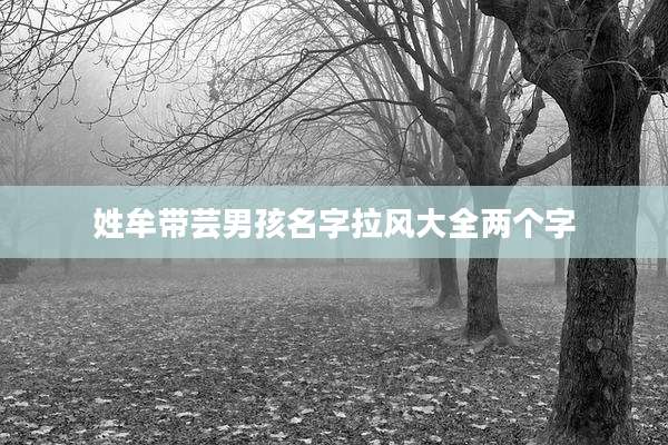 姓牟带芸男孩名字拉风大全两个字
