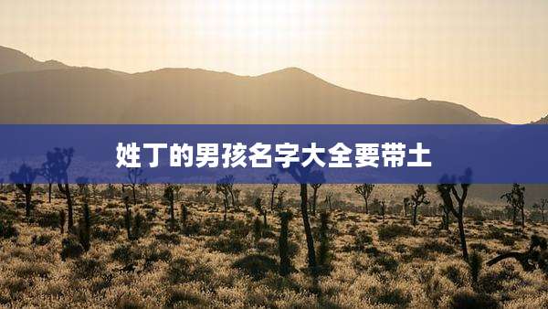 姓丁的男孩名字大全要带土