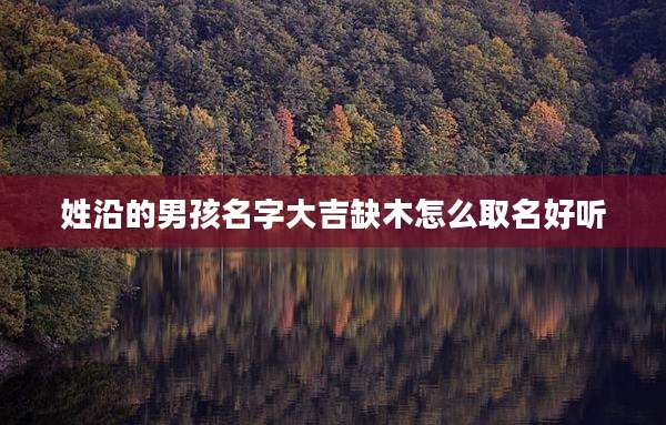姓沿的男孩名字大吉缺木怎么取名好听