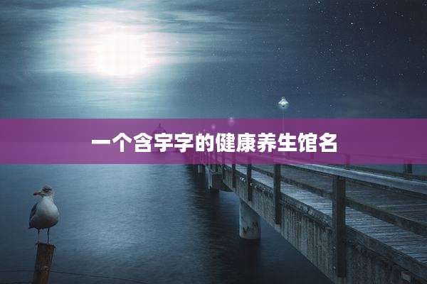 一个含宇字的健康养生馆名