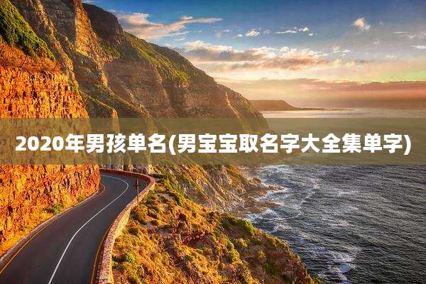 2020年男孩单名(男宝宝取名字大全集单字)