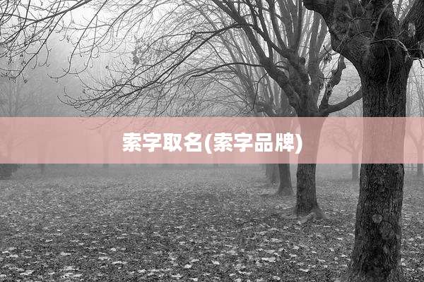 索字取名(索字品牌)