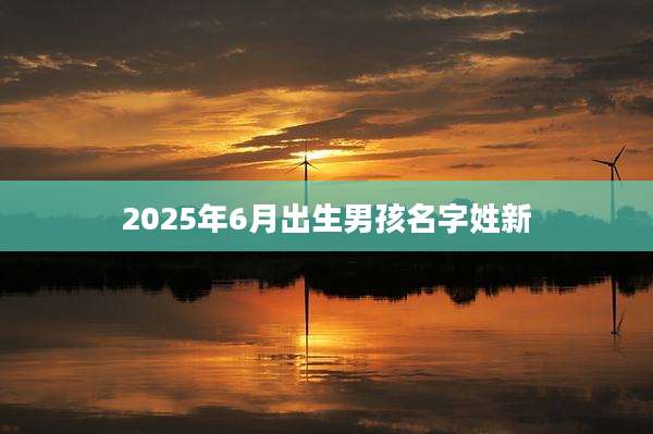 2025年6月出生男孩名字姓新