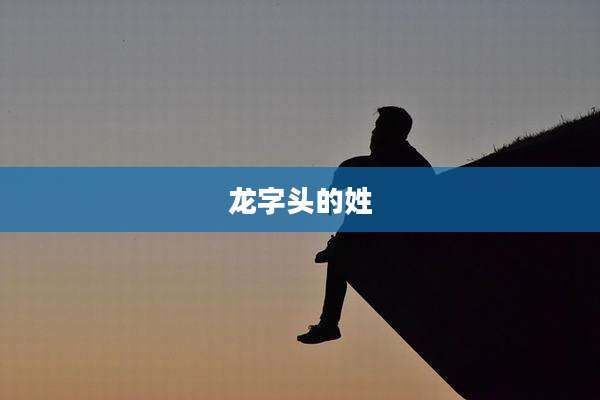 龙字头的姓