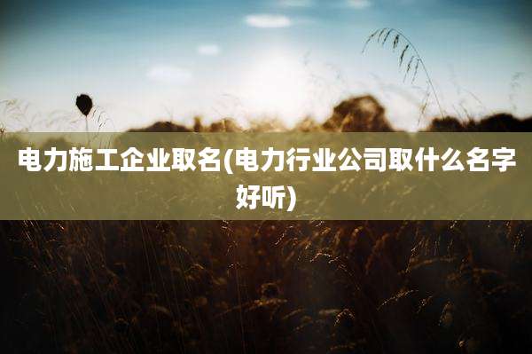 电力施工企业取名(电力行业公司取什么名字好听)