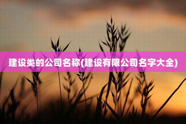 建设类的公司名称(建设有限公司名字大全)