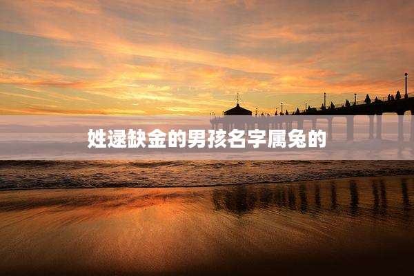 姓逯缺金的男孩名字属兔的