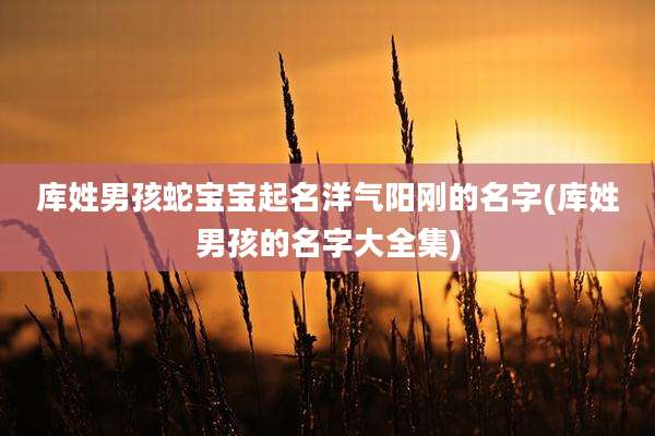 库姓男孩蛇宝宝起名洋气阳刚的名字(库姓男孩的名字大全集)