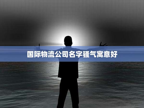 国际物流公司名字骚气寓意好