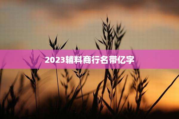 2023辅料商行名带亿字