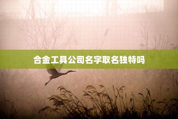 合金工具公司名字取名独特吗