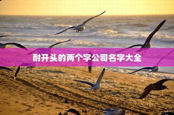 耐开头的两个字公司名字大全