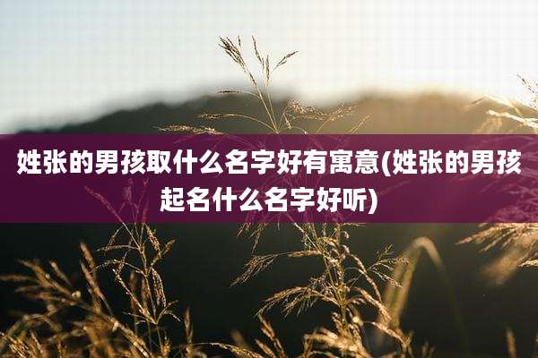 姓张的男孩取什么名字好有寓意(姓张的男孩起名什么名字好听)