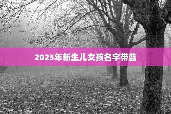 2023年新生儿女孩名字带蓝