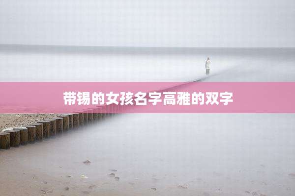 带锡的女孩名字高雅的双字