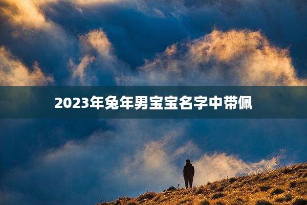2023年兔年男宝宝名字中带佩