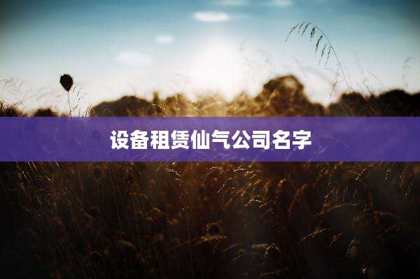 设备租赁仙气公司名字