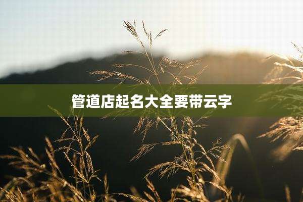 管道店起名大全要带云字