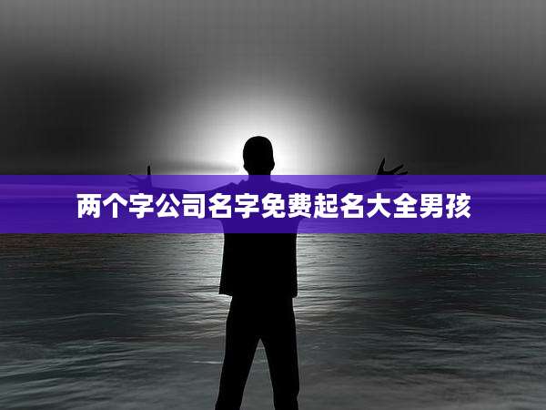 两个字公司名字免费起名大全男孩