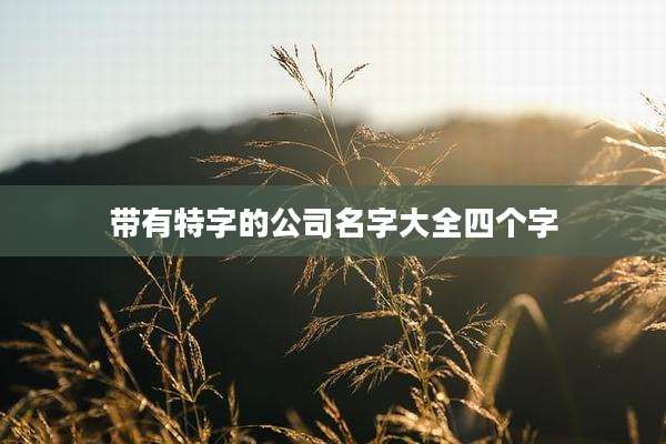带有特字的公司名字大全四个字