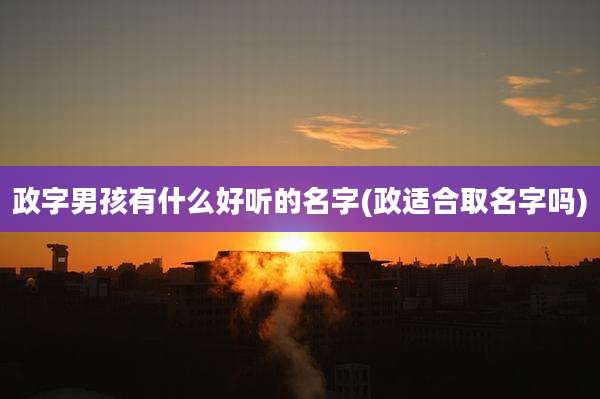 政字男孩有什么好听的名字(政适合取名字吗)