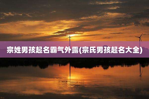 宗姓男孩起名霸气外露(宗氏男孩起名大全)