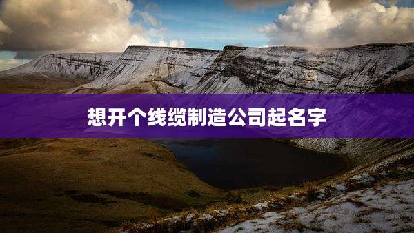 想开个线缆制造公司起名字