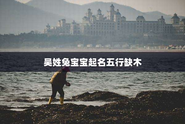 吴姓兔宝宝起名五行缺木
