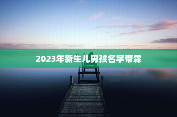 2023年新生儿男孩名字带霖