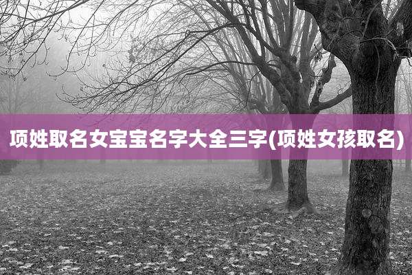 项姓取名女宝宝名字大全三字(项姓女孩取名)