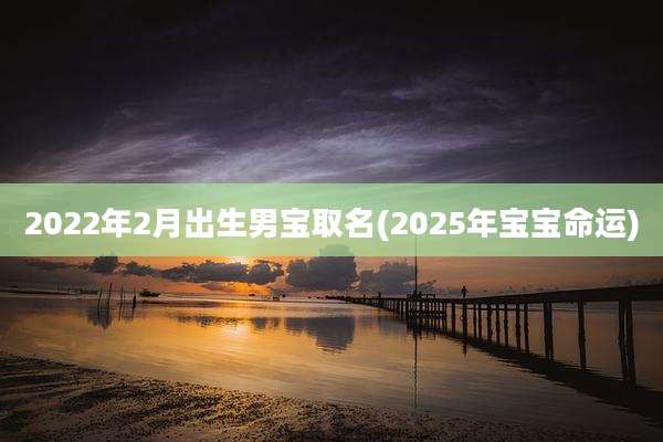 2022年2月出生男宝取名(2025年宝宝命运)