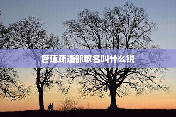 管道疏通部取名叫什么锐